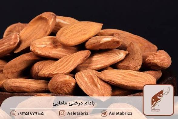 خرید بادام صادراتی